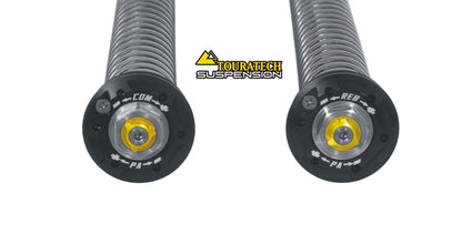 Картриджна підвіска Touratech Suspension Kit Extreme для Triumph Tiger 900 Rallye Pro з 2020 року.