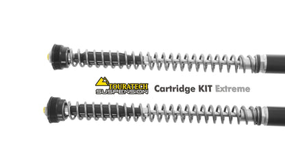 Картриджна підвіска Touratech Suspension Kit Extreme для Triumph Tiger 900 Rallye Pro з 2020 року.