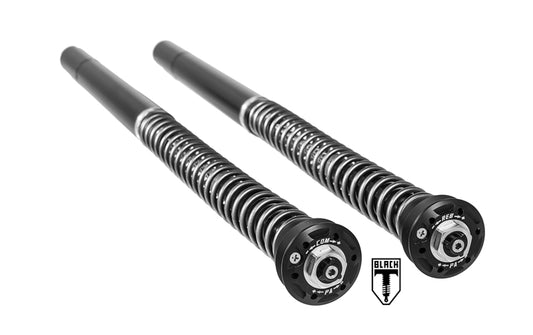 Картриджний комплект BLACK-T Stage4 для BMW RnineT (2014-2020)