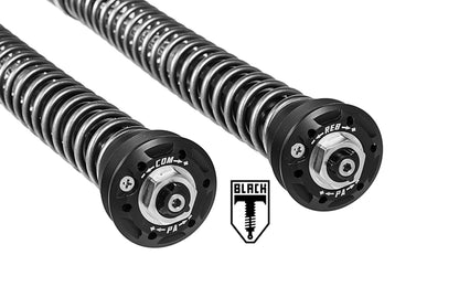 Картриджний комплект BLACK-T Stage4 для BMW RnineT (2014-2020)
